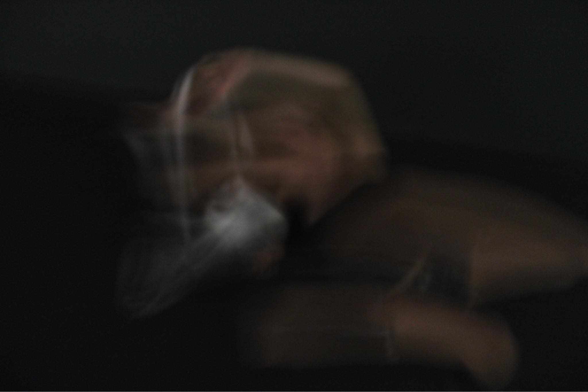 fotografi